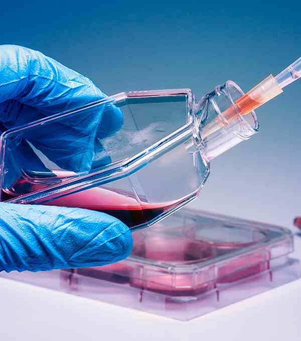 https://labdhigroup.com/wp-content/uploads/2020/04/service_5-1.jpg